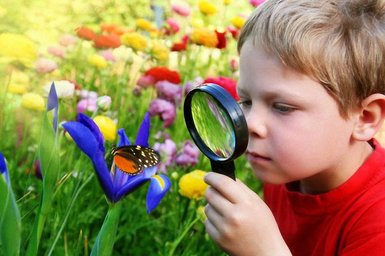 child-with-a-magnifying-glass-2215