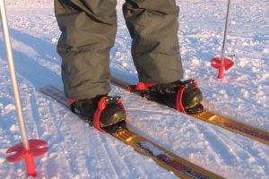 Как выбрать лыжи 