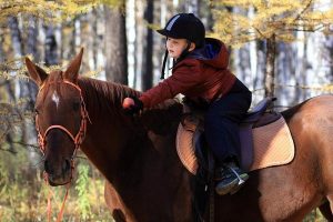 конный спорт для детей