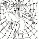Spider-man Раскрасска